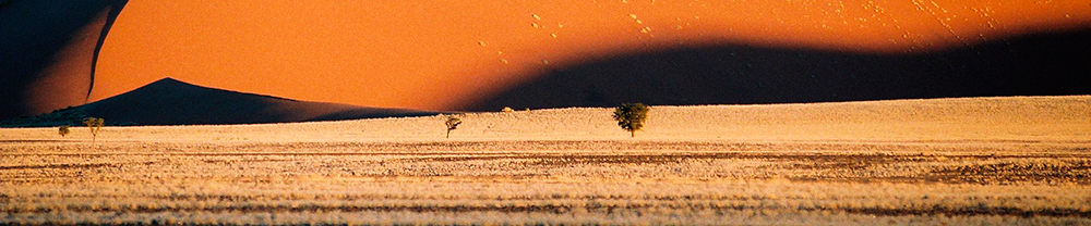 W&uuml;stenlanschaft