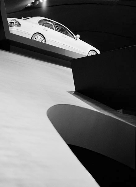 Black And White Froschperspektive