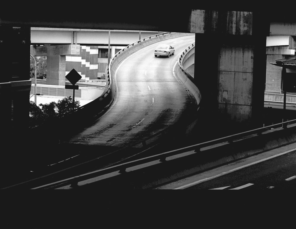 Black And White Serpents Car