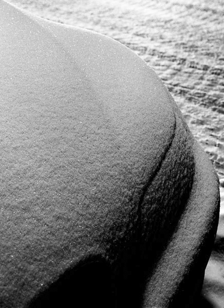 Freeze Car Black And White